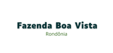 fazenda boa vista
